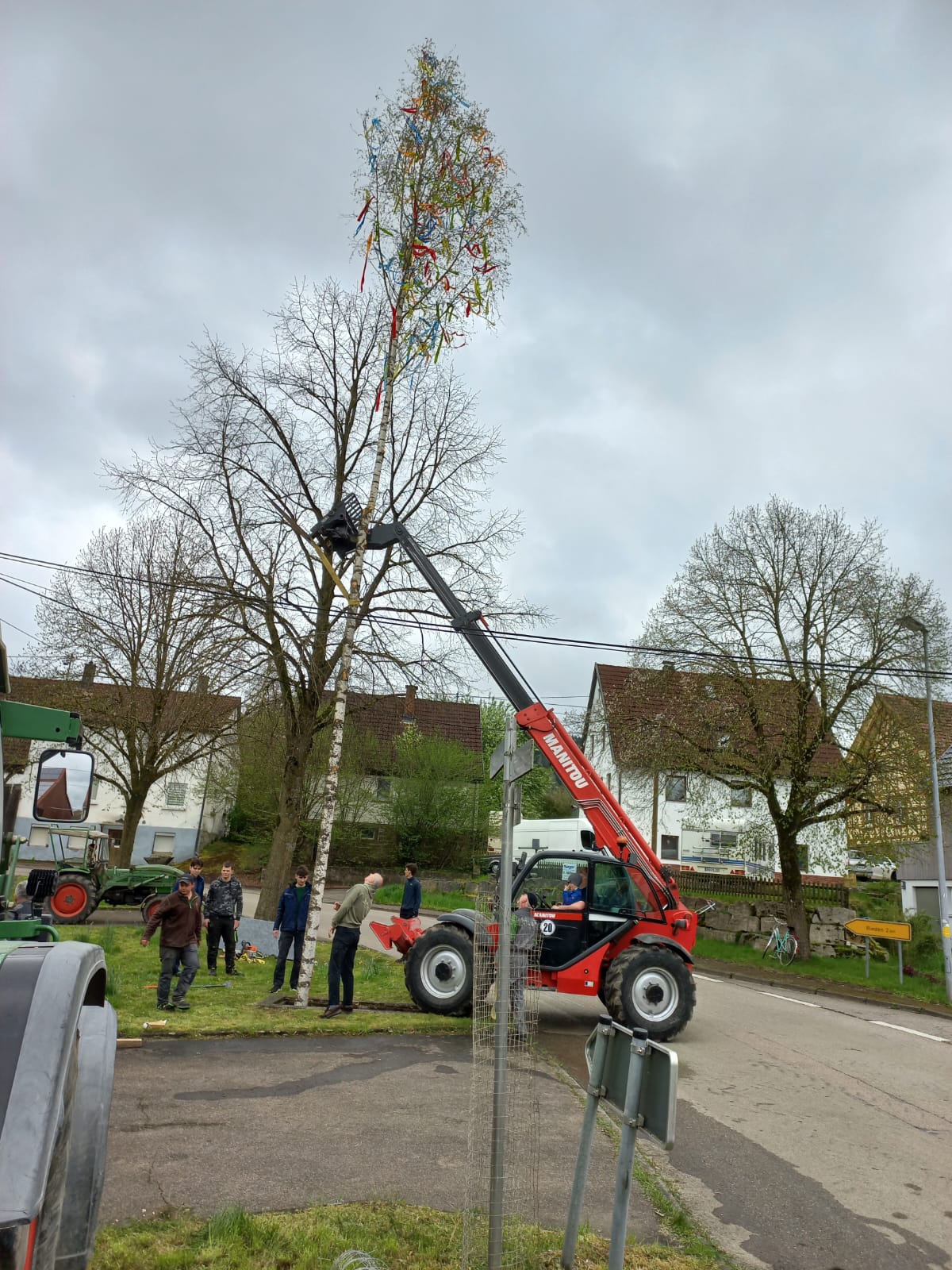 Ein mit bunten Bändern geschmückter Birken-Maibaum wird mit einem roten Teleskoplader aufgerichtet, daneben stehen mehrere Helfer auf der Wiese